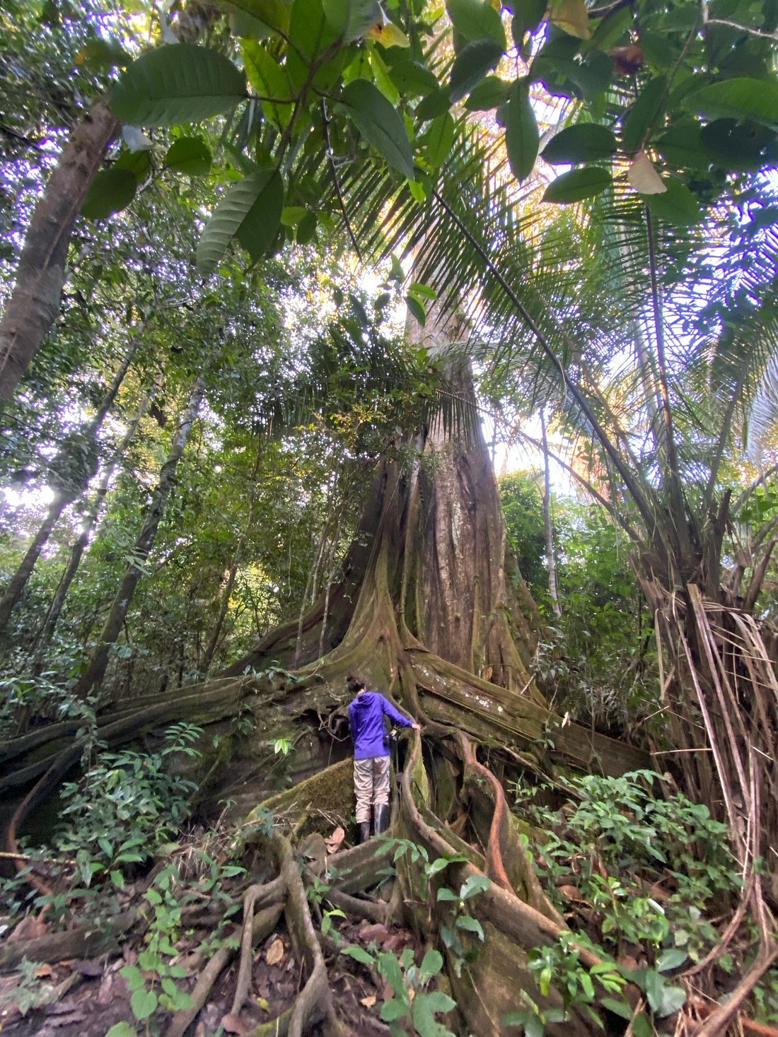 Expedición destacada 4