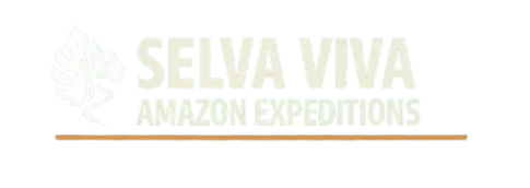2logotipo selva viva removebg preview
