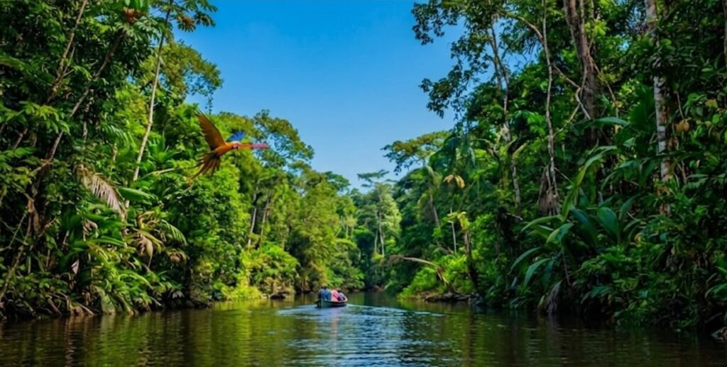explora la selva