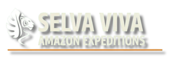 logotipo selva transparente editado
